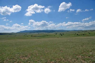 Прикрепленное изображение: IMGP6582.jpg